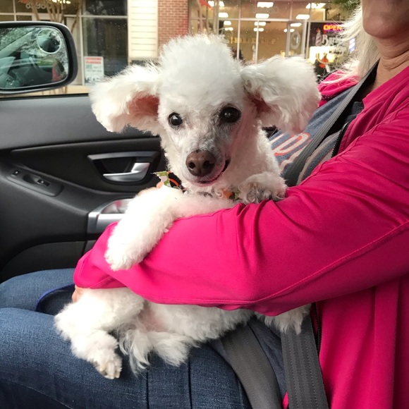 Meet your Posher, Cj - Picture 1 of 1